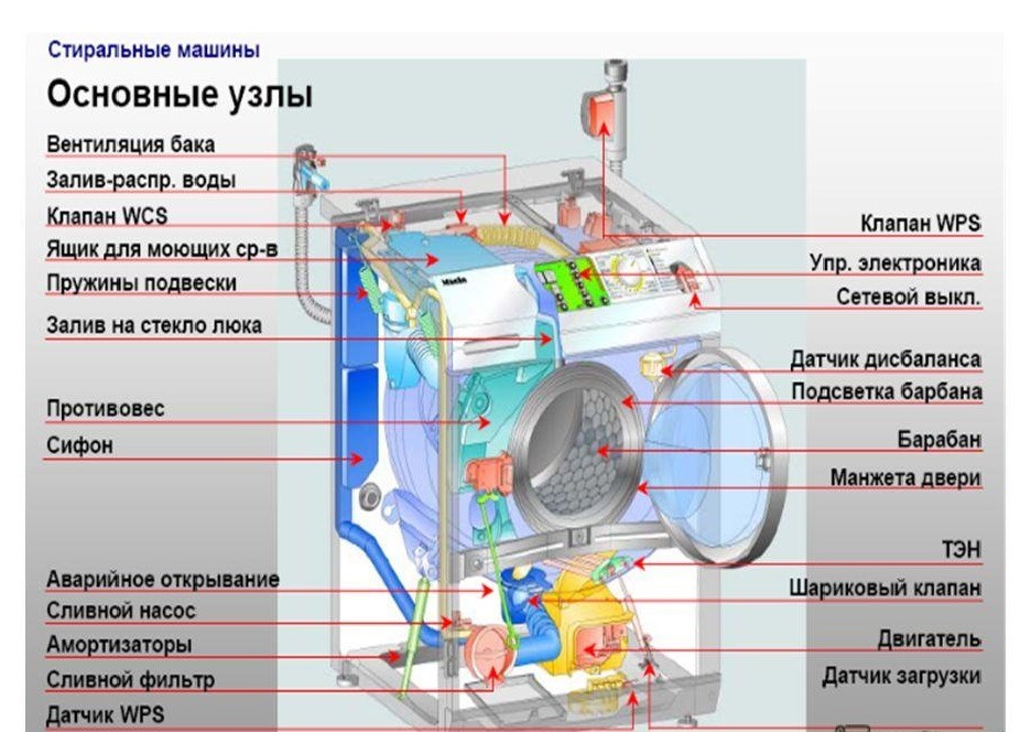 Внутреннее строение СМА