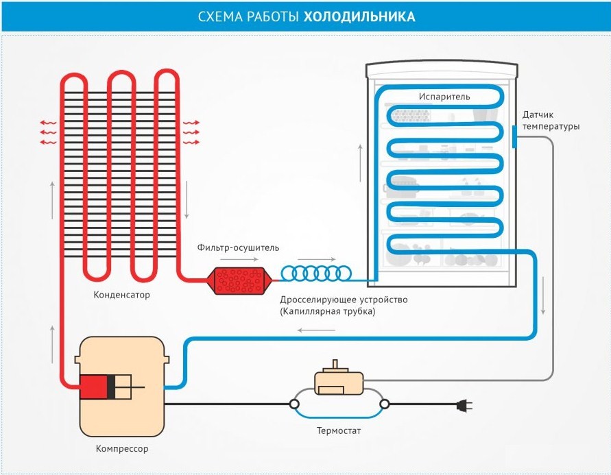 Схема и принцип работы холодильника